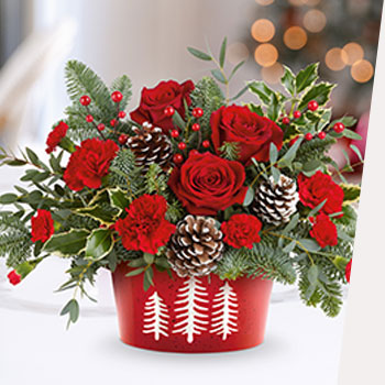 SET THE HOLIDAY TABLE