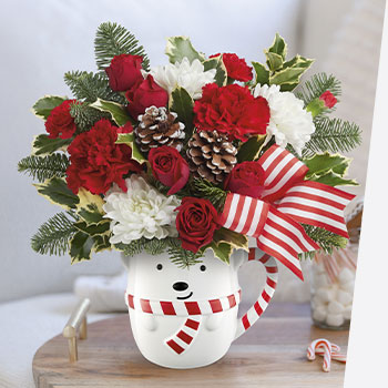 SHOP<br>CHRISTMAS SPIRIT