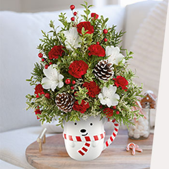 SHOP HOLIDAY<br>GIFTS FOR ALL