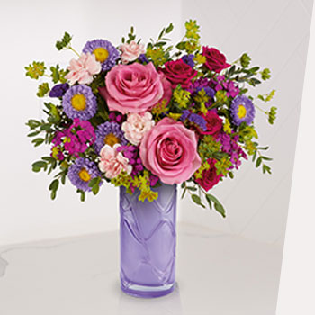 SHOP OUR<br>NEW COLLECTION