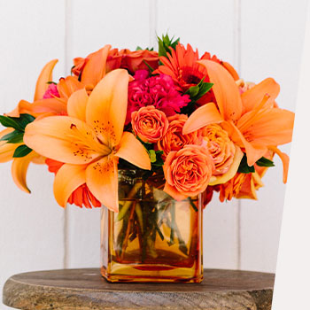 ORDER TODAY,<br>ENJOY TODAY