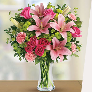 DELIGHT YOUR<br>GAL PALS