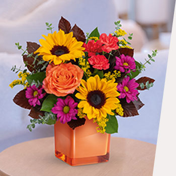 SEND SUNNY<br>SUNFLOWERS