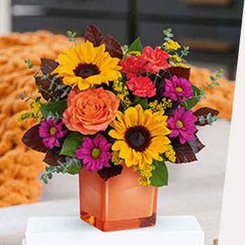 SURPRISE WITH<br>SUNFLOWERS