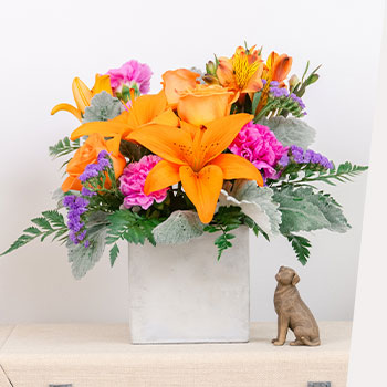 HOORAY JUNE<br>BIRTHDAYS