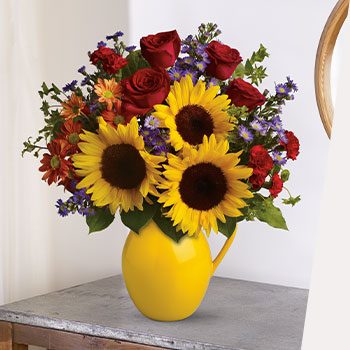 HERE COME<br>THE SUNFLOWERS