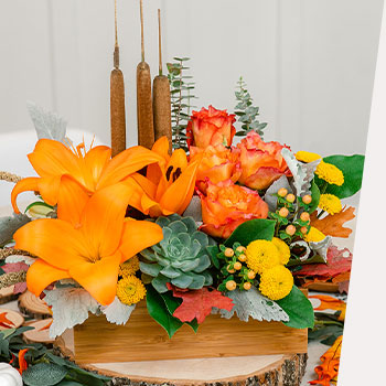 SET THE TABLE BEAUTIFULLY