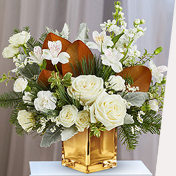 DISCOVER NEW<br>HOLIDAY STARS