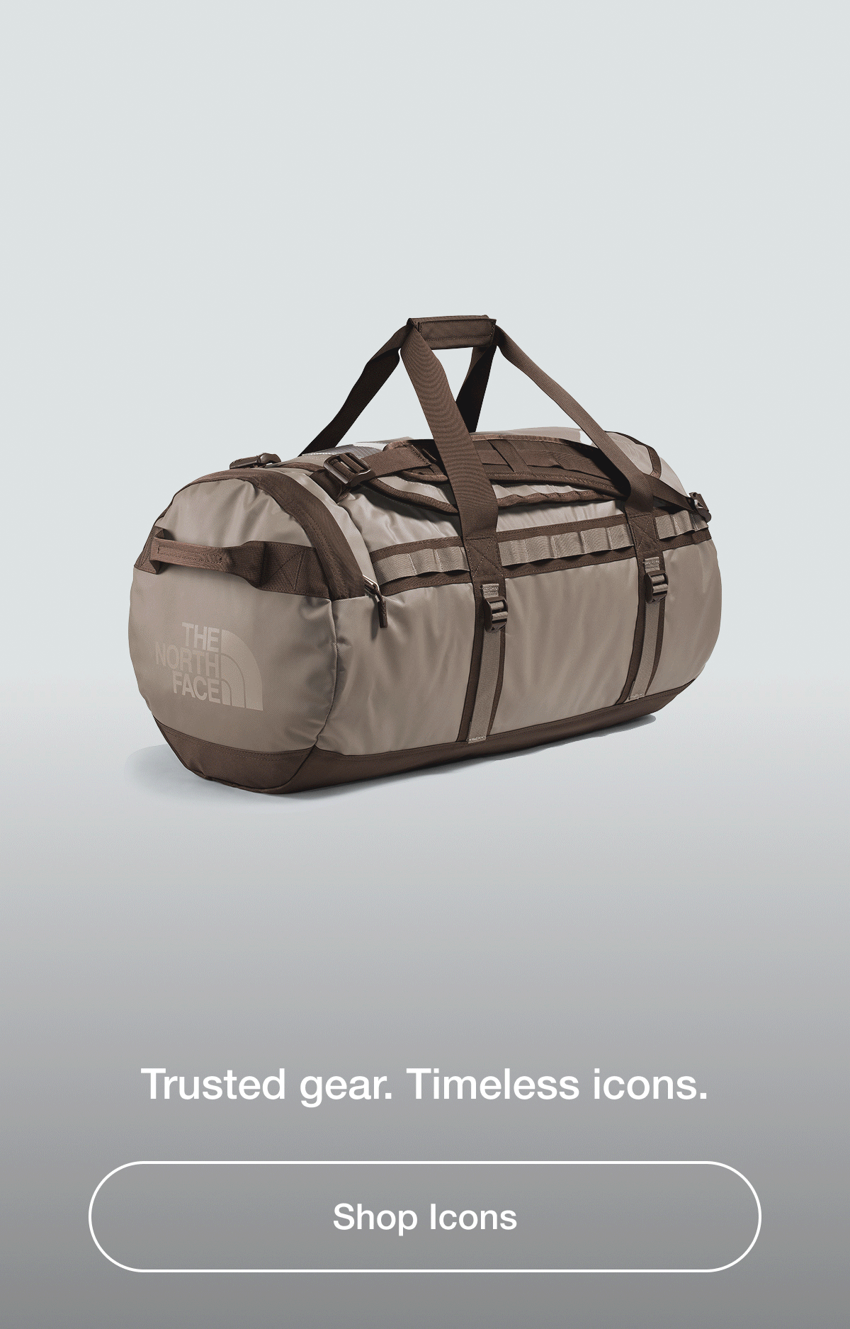 Shop Icons