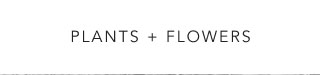 Plants + Flowers